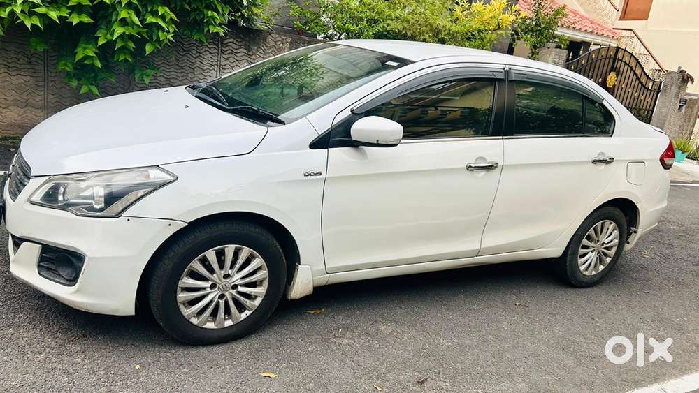Ciaz Zdi Plus 2016