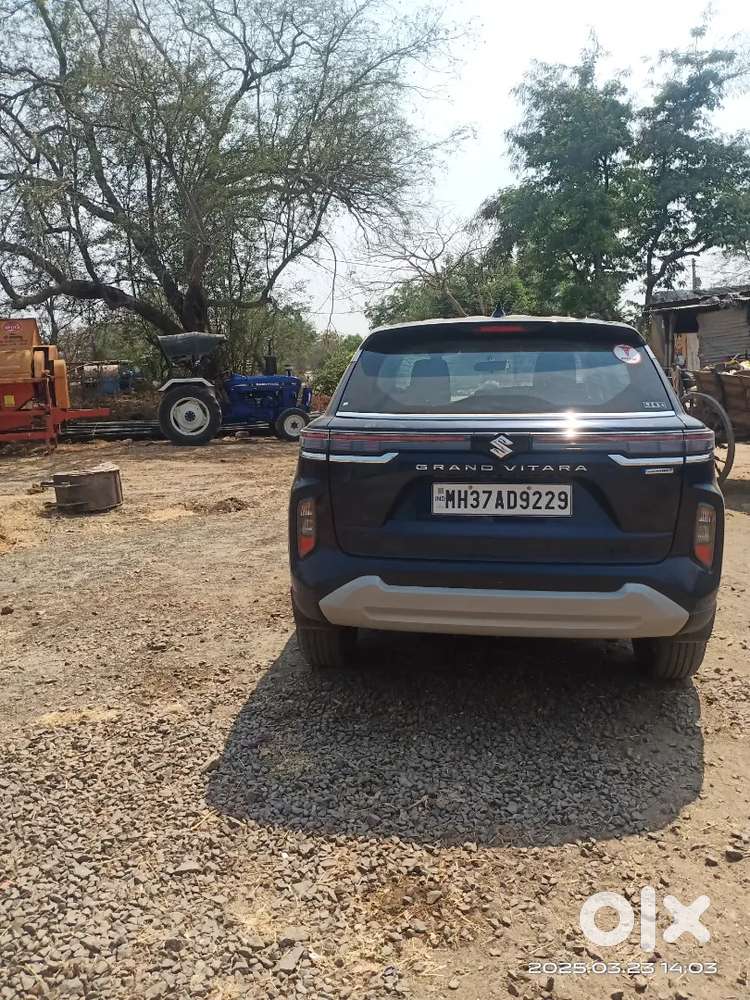 Maruti Suzuki Grand Vitara 2024 Petrol 35000 Km Driven