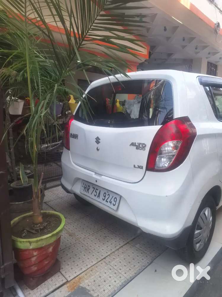 Purchase New Car