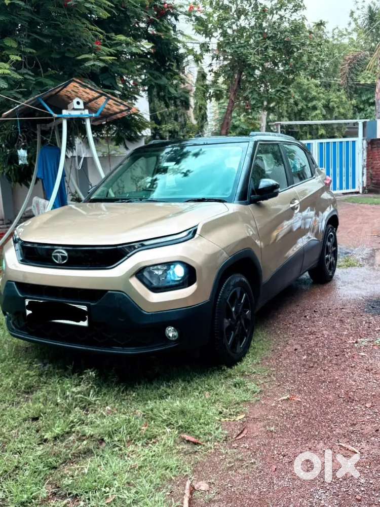 Tata Punch Cng Kaziranga Edition 2022