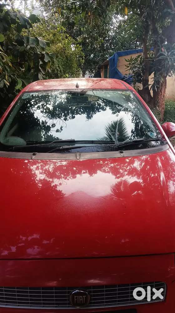Fiat Punto 2014 Diesel Well Maintained