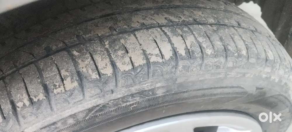Madhaul Mahua