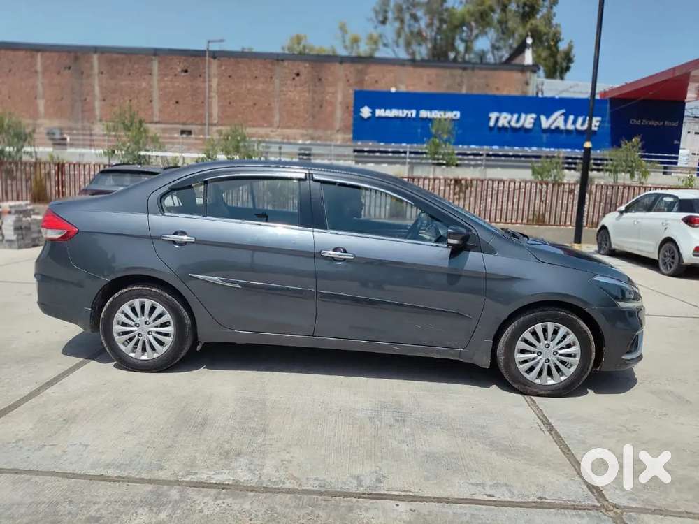 Ciaz Alpha Smart Highbread