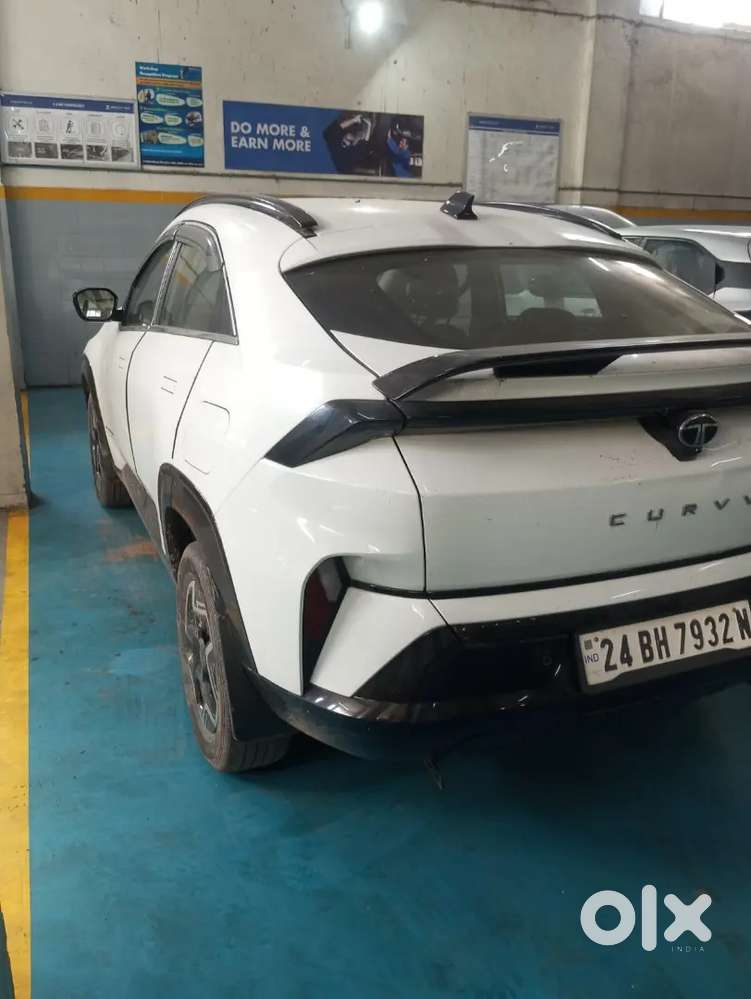 Tata Curvv 2024 Drives Ahead
