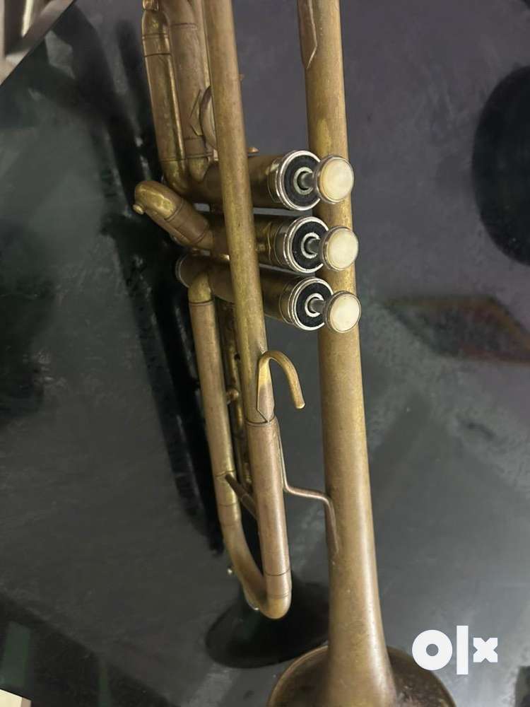 Trumpet olx deals