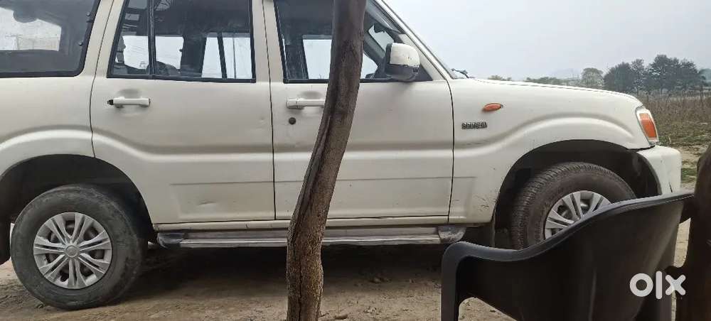 Gadi Kadi H Or Gadi Achi Candisan Me H Uk 14 No H