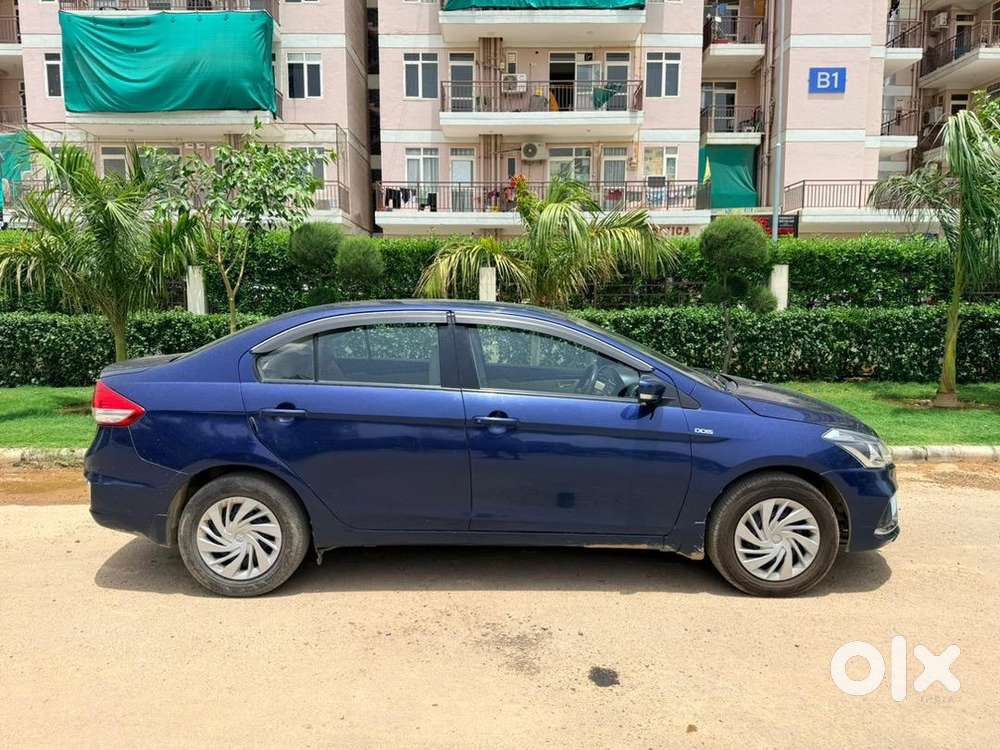 Maruti Suzuki Diesel 2017