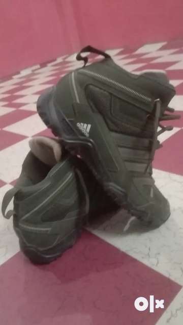 Olx sales adidas terrex