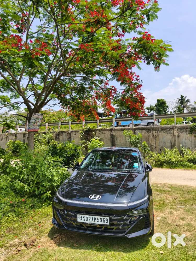 Hyundai New Verna 2023 Petrol 12000 Km Driven
