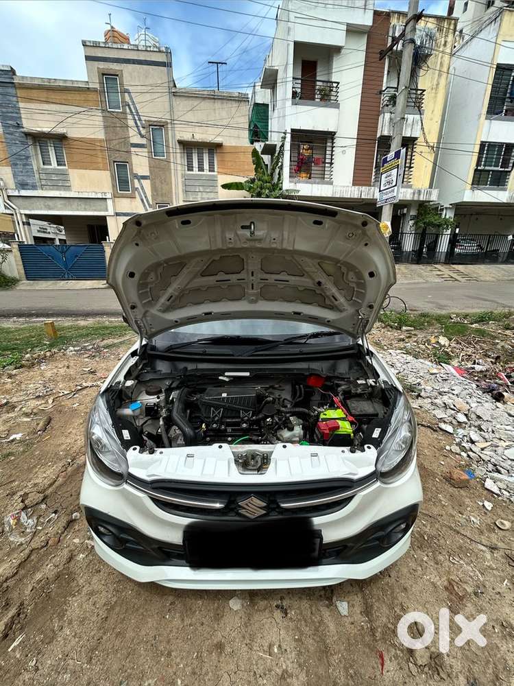 Maruti Celerio 2024 Model