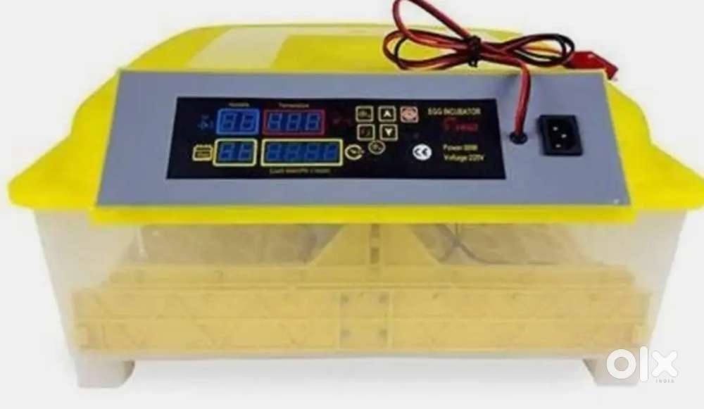 Egg incubator
