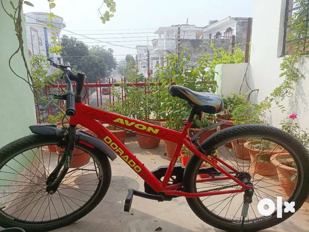 Avon dorado bicycle price hotsell