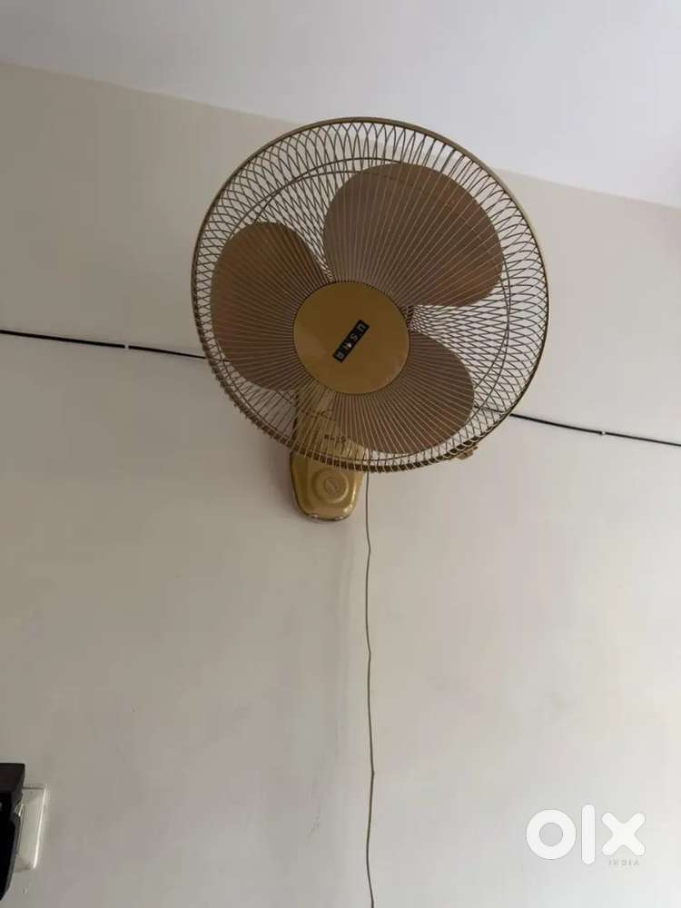 Wall mounted fan