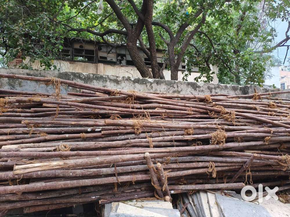 scaffolding