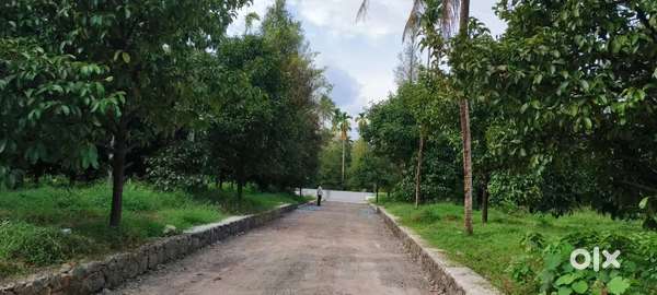 ANGAMALY KARUKUTTY NEAR BY 5, 6,8, 10 CENT PLOTS AVAILABLE