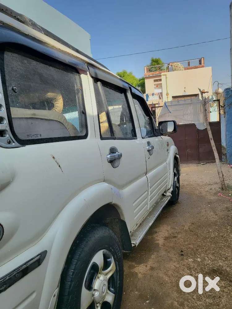 New Leni Hei