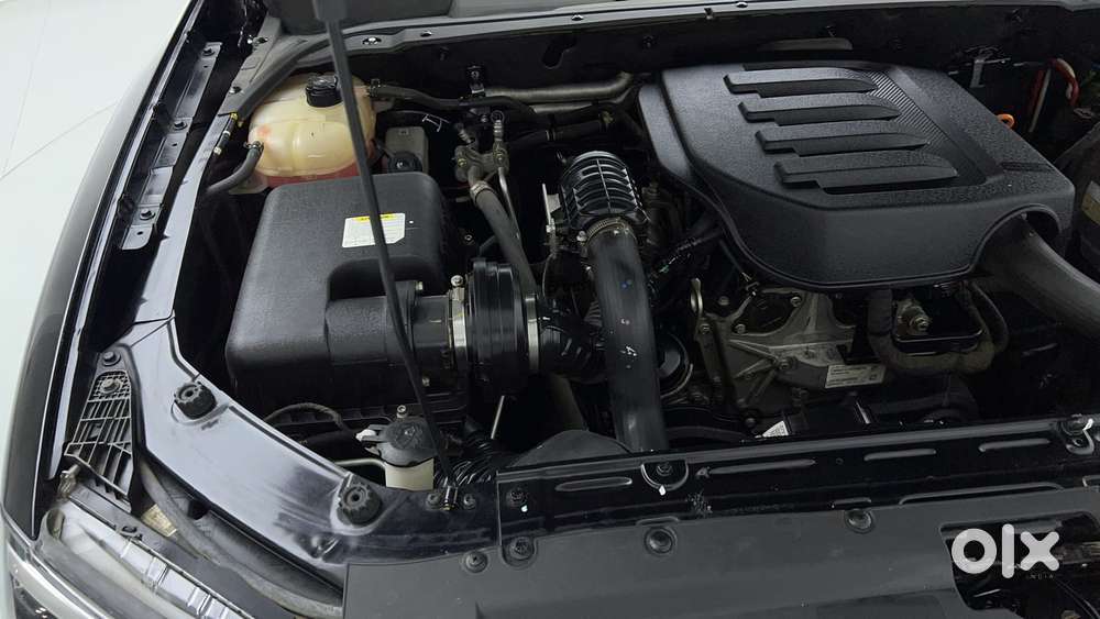 Mahindra Scorpio N Z8 Petrol At 7 Str, 2024, Petrol