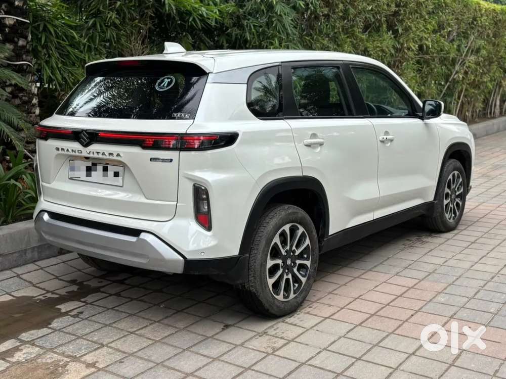 Maruti Suzuki Grand Vitara 1.5 Delta Smart Hybrid, 2024, Petrol