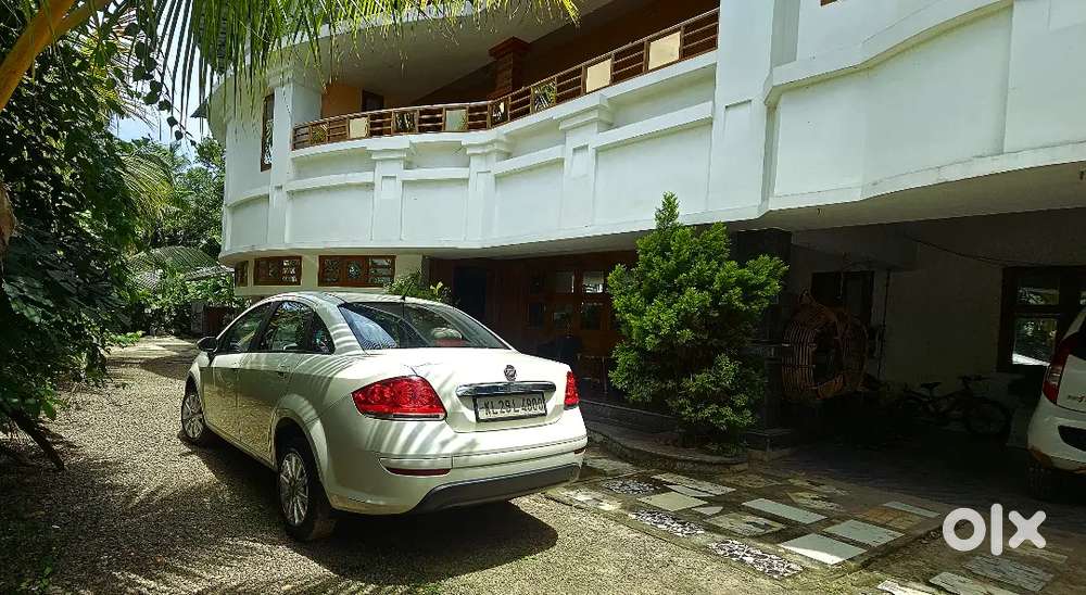 Fiat Linea 2016 Petrol Well Maintained