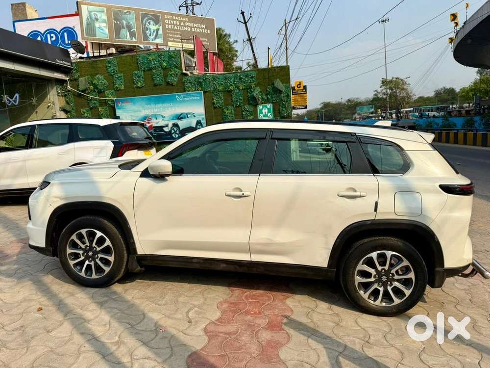 Maruti Suzuki Grand Vitara 2023 Petrol Well Maintained