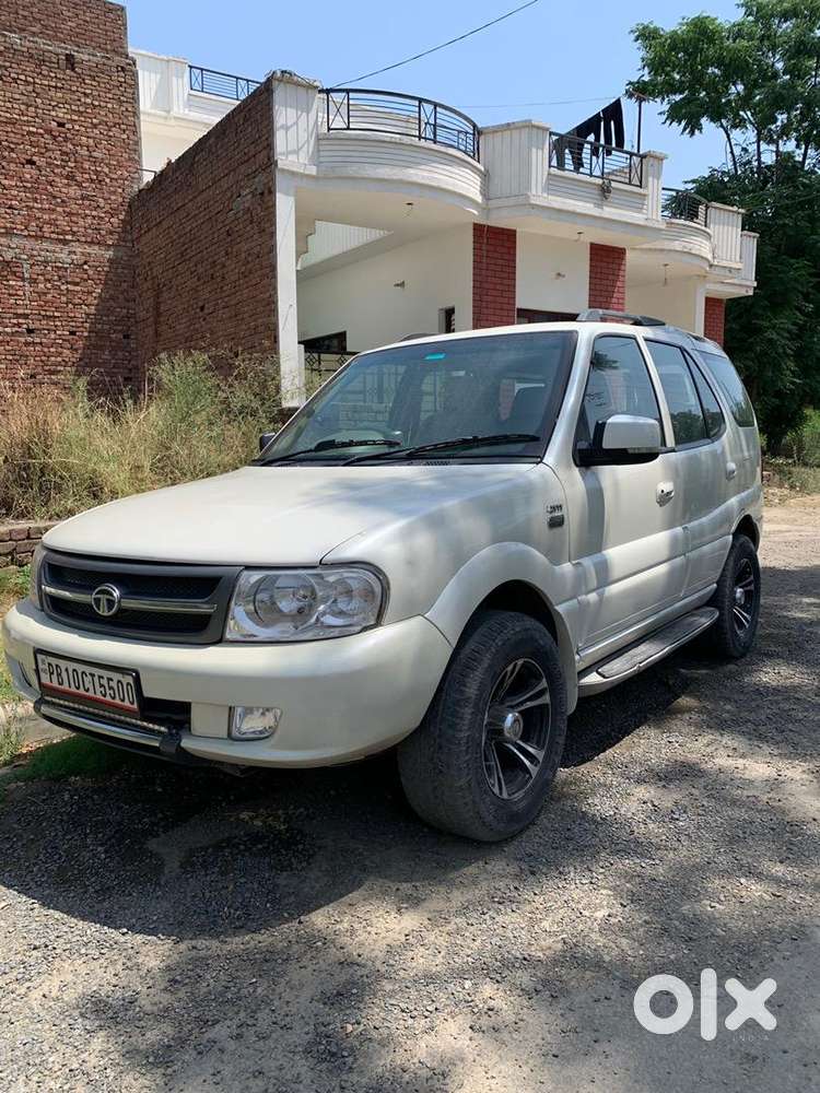 Tata Petrol Diesel 2010