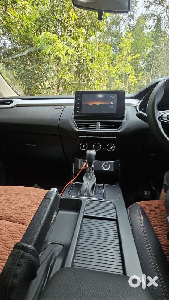 One Year Old Kiger For Sale