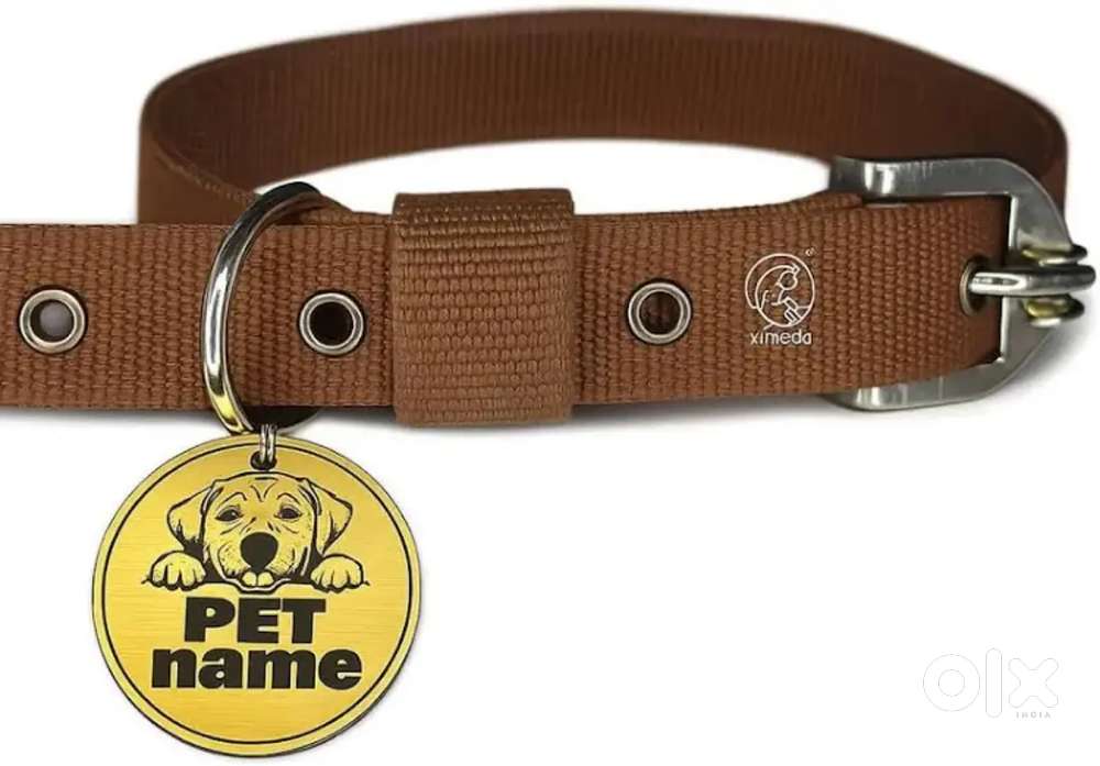 Pawpro Handmade Dog Id Tags Brown Dog Collar Belt With Dog Name