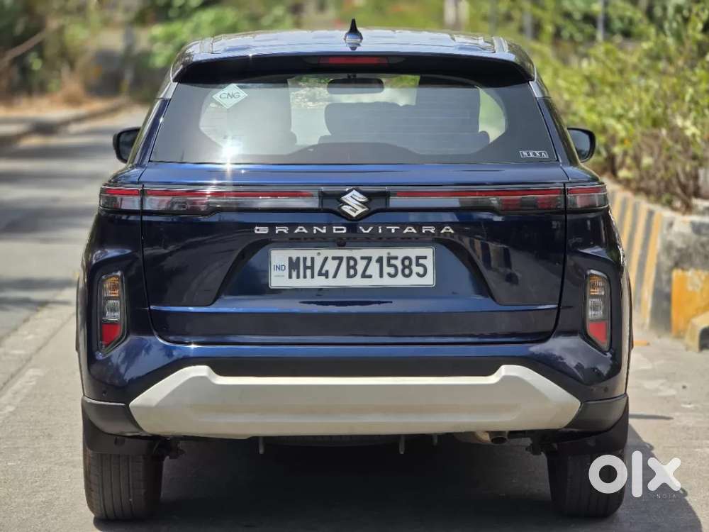 Maruti Suzuki Grand Vitara 1.5 Delta Cng, 2025, Cng & Hybrids