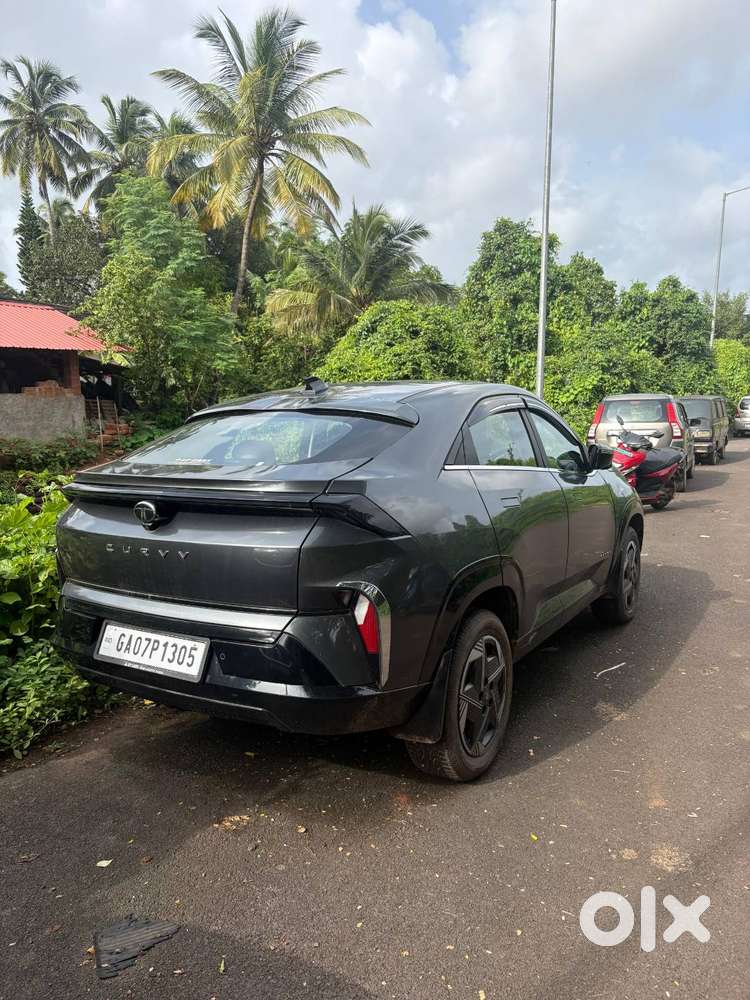 Tata Curvv 2024 Year Car