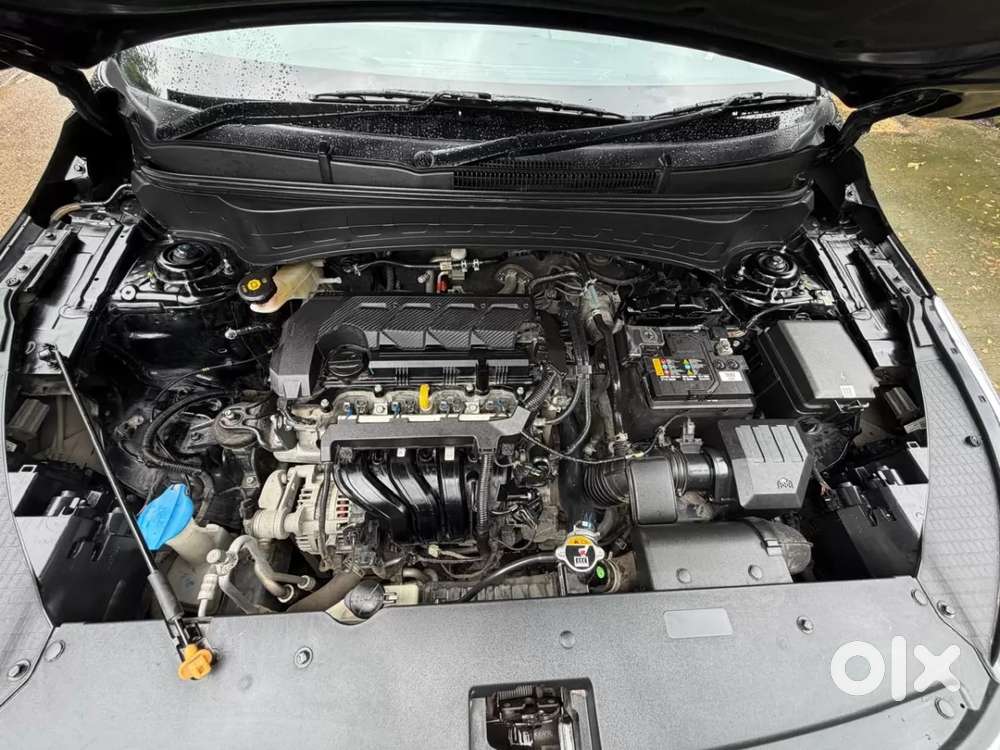 Kia Seltos, 2024, Petrol