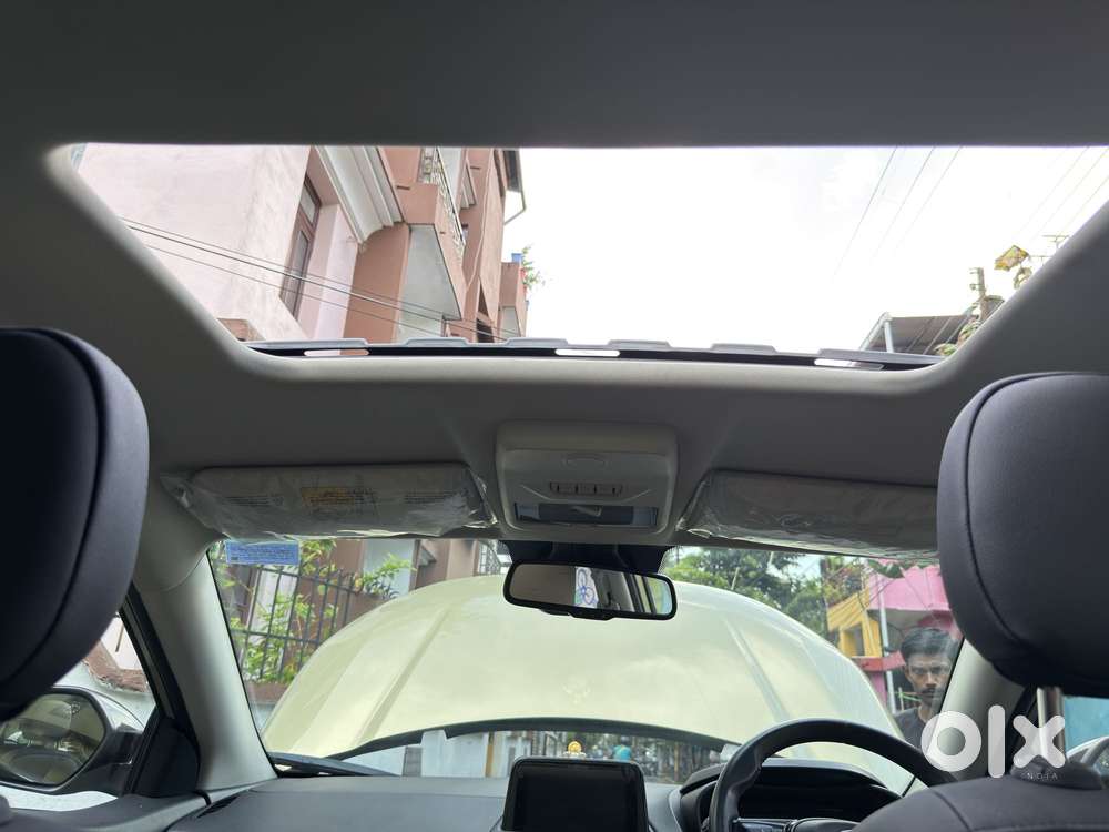 Tata Nexon Xz Plus Luxs Kaziranga, 2023, Petrol