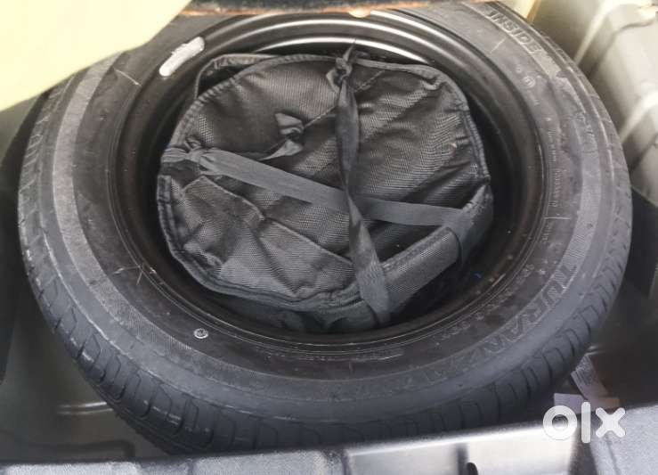 Tata Nexon Xz Plus Luxs Kaziranga, 2024, Petrol