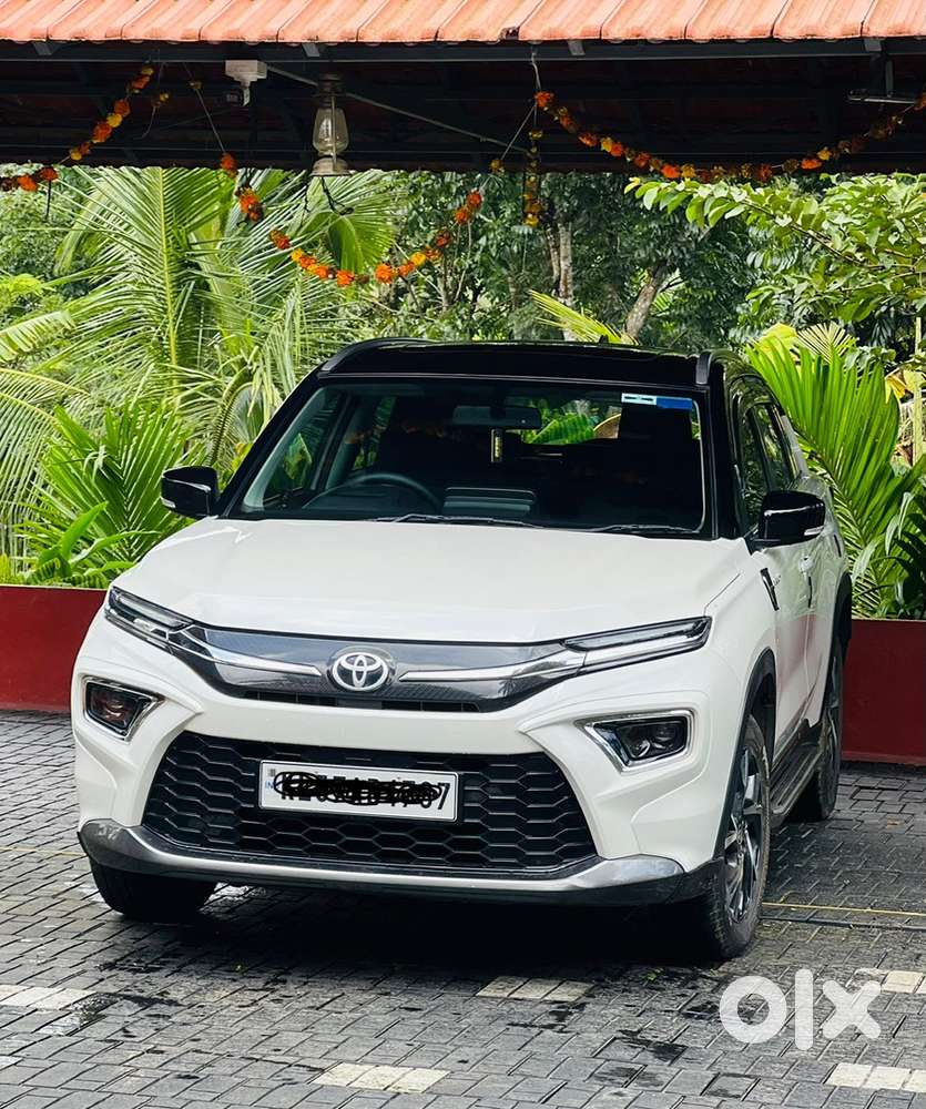 Strong Hybrid Single Owner Automatic Dual Tone