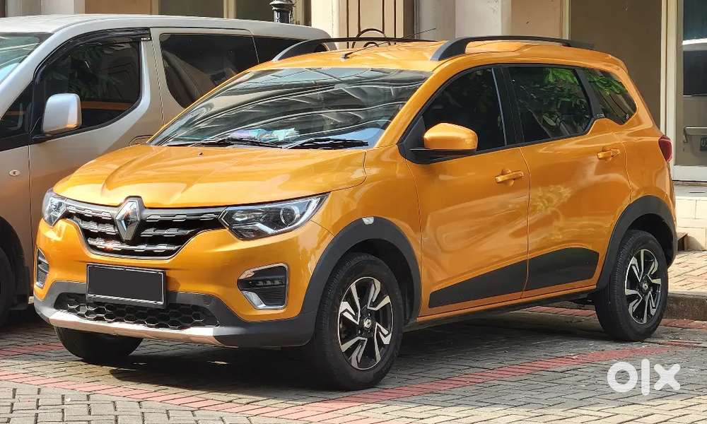 Top Model - 2021 Mustard Colour