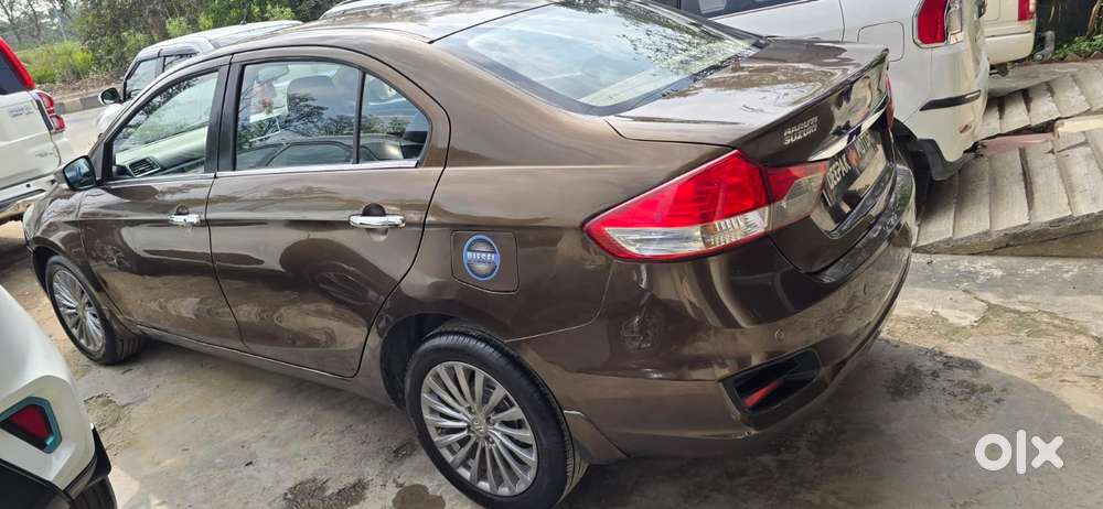 Maruti Suzuki Ciaz 2014-2017 Zdi Plus Shvs, 2015, Diesel