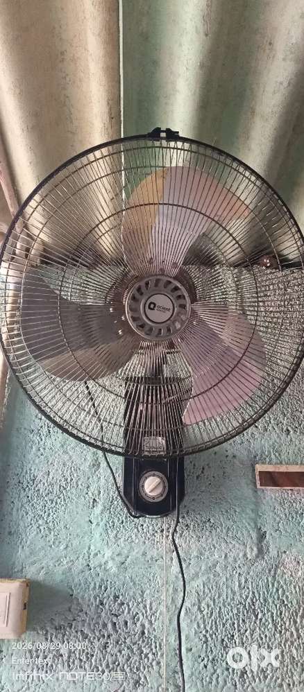 Orient wall fan