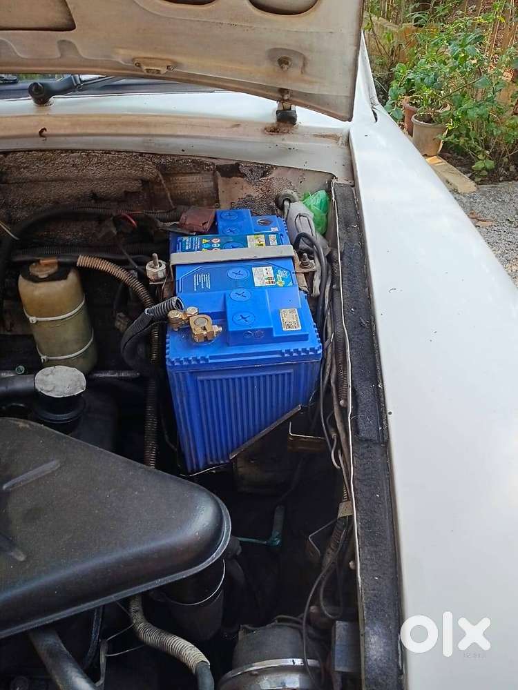 Ambassador Ambassador 2008