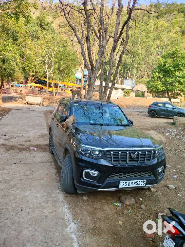 Mahindra Scorpio-n Z8 2026 Diesel 10000 Km Driven (bh Number)