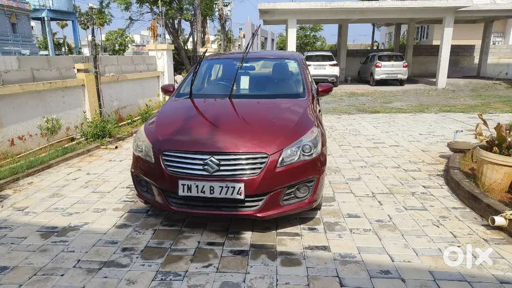 2015 Maruti Ciaz Diesel  Single Owner  1.27l Km  Full Company Servi