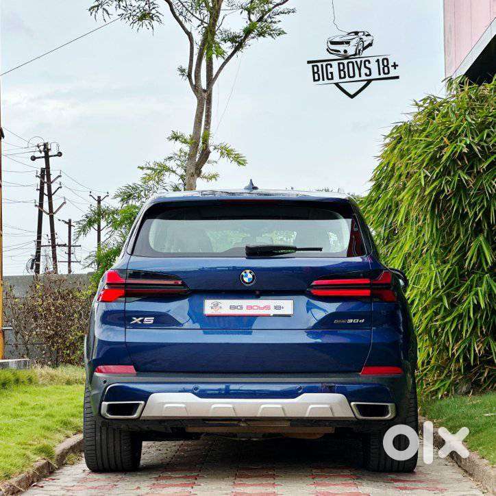 Bmw X5 Xdrive 30d, 2019, Diesel