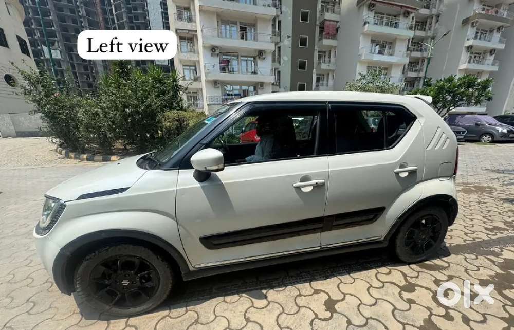 Maruti Suzuki Alpha Amt Top Model