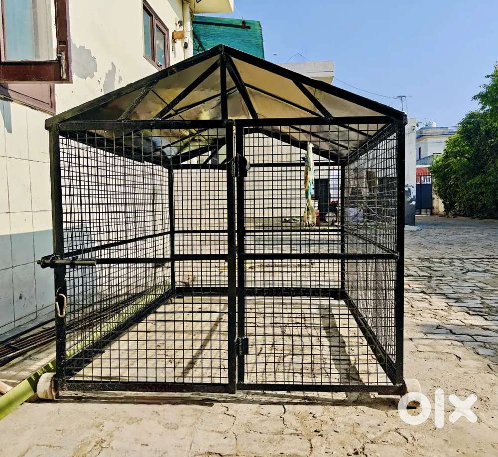 Heavy Duty Metal Cage (ਪਿੰਜਰਾ) with wheels for Dog & Other Animals