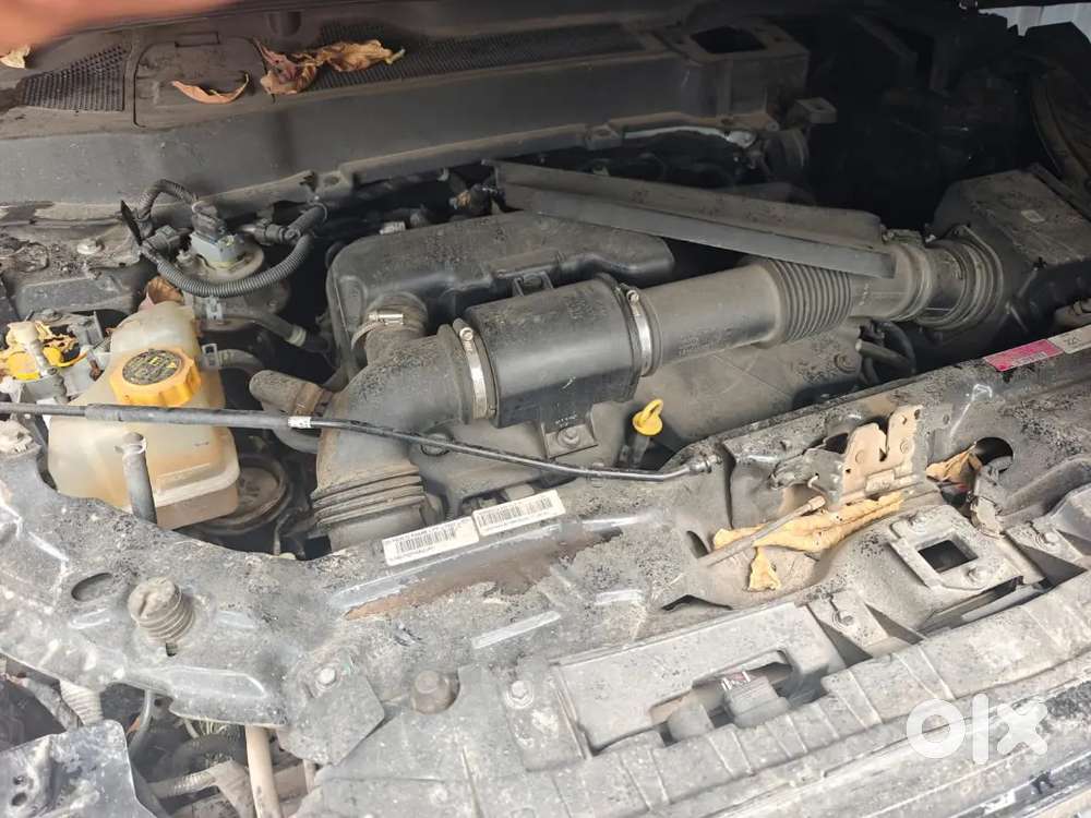 Tata Harrier 2024 Diesel 32542 Km Driven