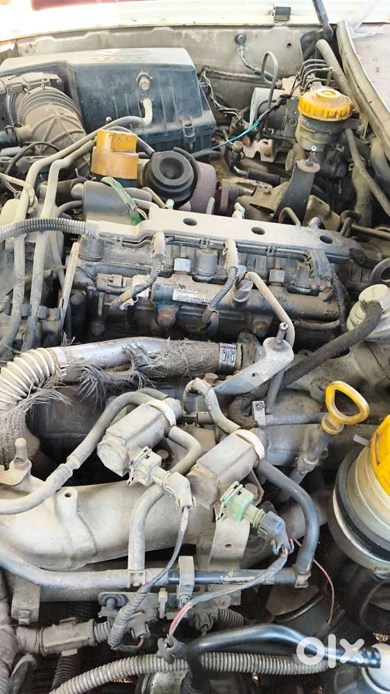 Tata Safari Adventure