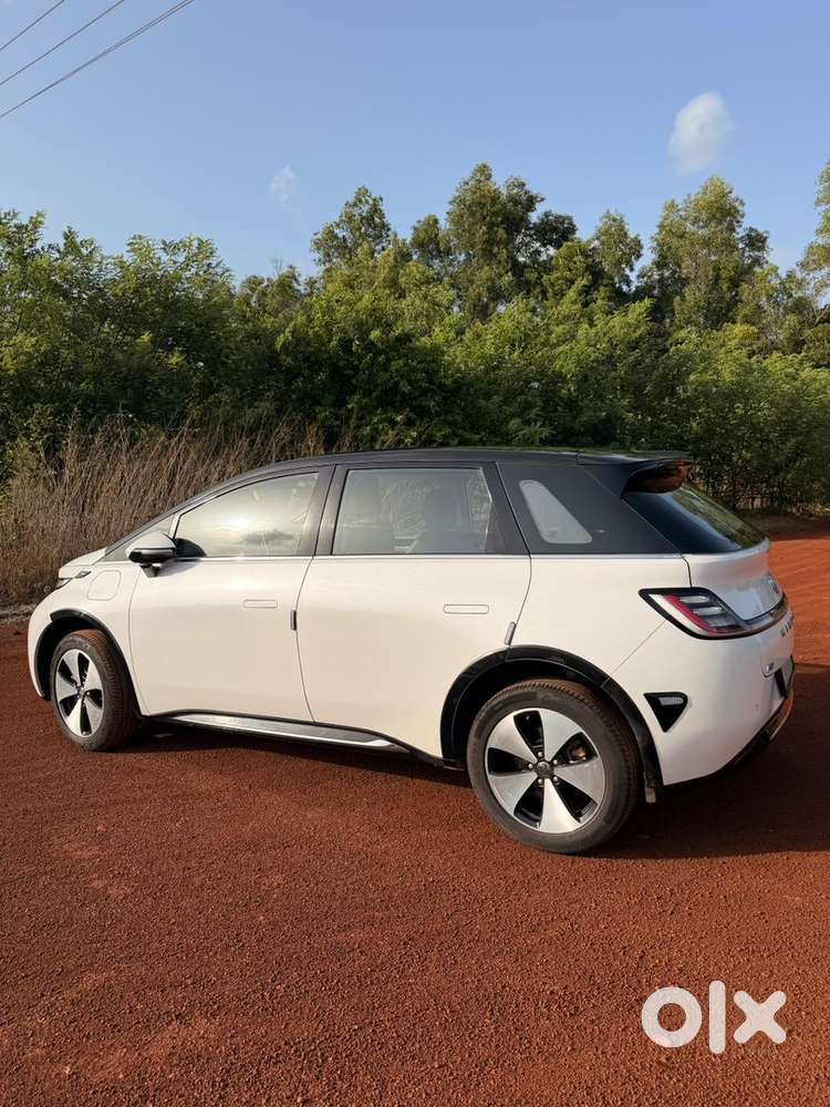 Mg Windsor Ev 2025