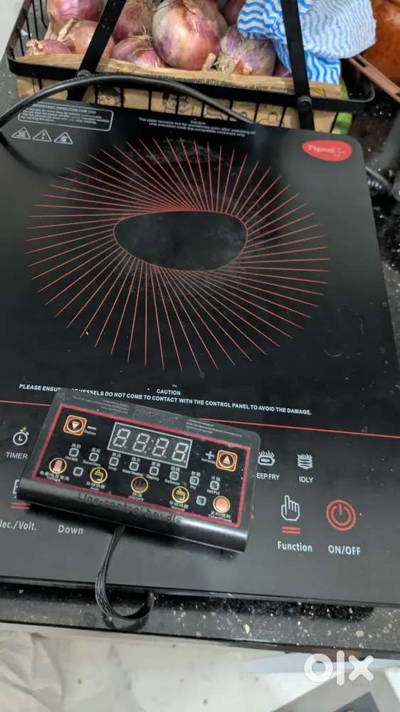 Induction electric stove