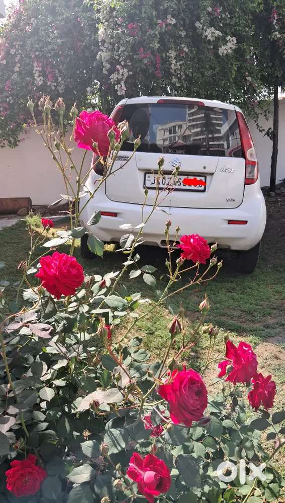 Life Till 2031...ritz Vdi