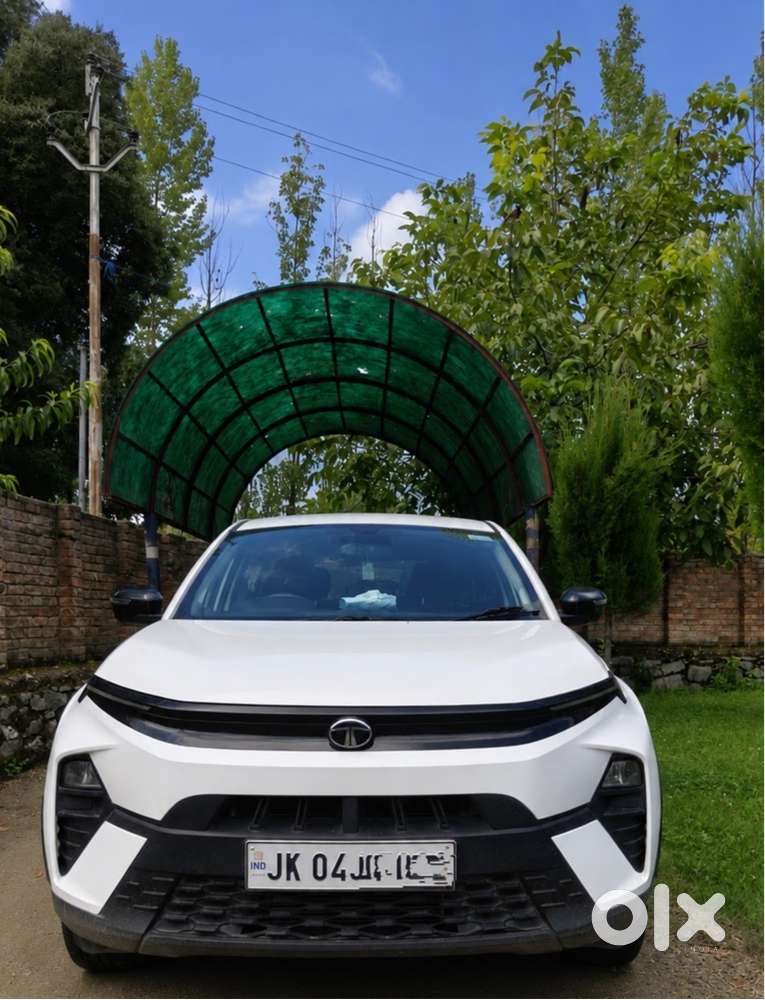 Tata Nexon 2024 Petrol Well Maintained
