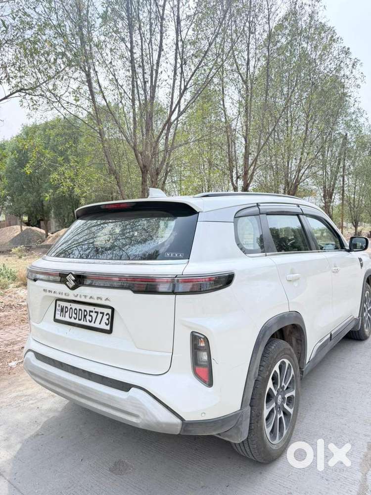 Maruti Suzuki Hybrid 2024