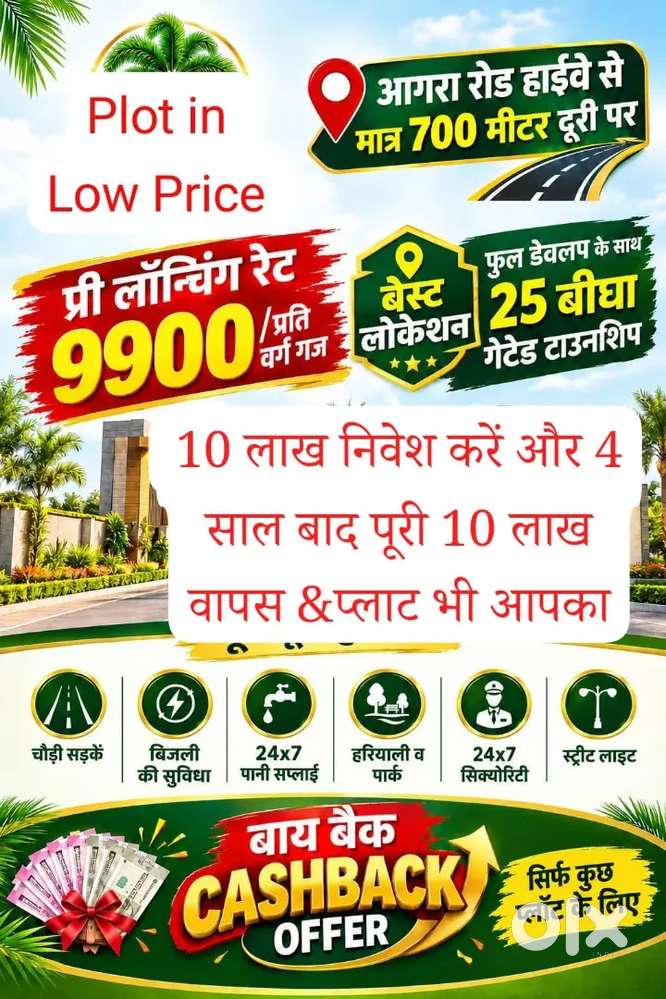 Plot in buy back
